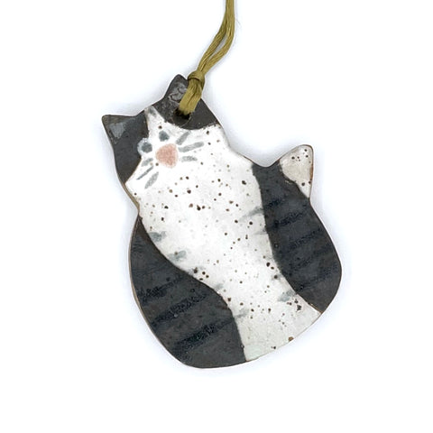 Dark Gray White Tummy Cat