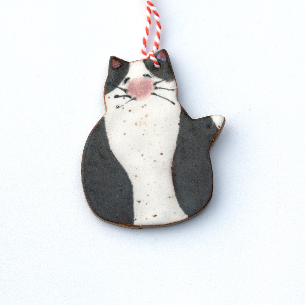 Dark Gray Tuxedo Cat