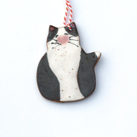 Dark Gray Tuxedo Cat