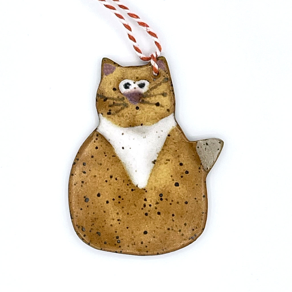 Blondie Cat with White Bib